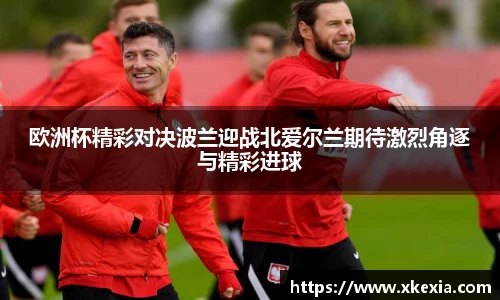 欧洲杯精彩对决波兰迎战北爱尔兰期待激烈角逐与精彩进球